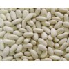 White Kidney Beans, Baishake Type