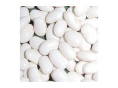 Japanese White Kidney Bean (A001)图1
