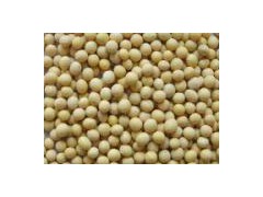 Organic Soybean图1