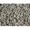 Medium White Kidney Beans (qxdrkb1)