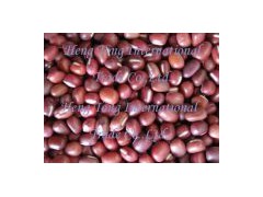 Azuki Bean/Small Red Bean图1