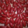 Red Kidney Bean