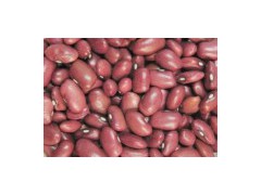 Dark Red Kidney Beans图1