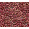 Red Speckled Kidney Bean (655)