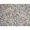 White  Kidney Beans