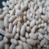White Kidney Bean (All types)