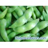 Soy Beans