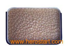 Canned White Kidney Beans (7106)图1