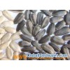 bakery and confection Sunflower Seeds Kernel