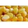 Frozen Sweet Corn Kernal