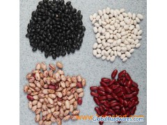 Kidney Bean (KB) 01图1