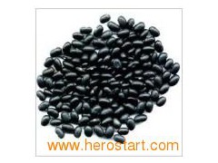 Black Kidney Beans (0046)图1