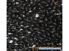 Black Bean (BKB) 01图1