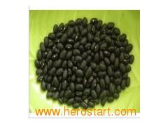 Small Black Beans (0132)图1