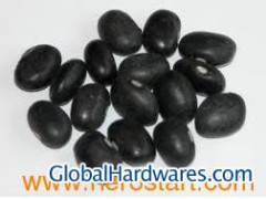 Black Kidney Bean (003)图1