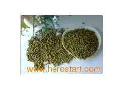 Mung Beans 010图1