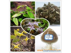 Epimedium Extract图1