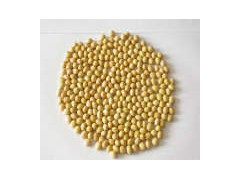Organic Soybean图1
