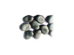 Broad Beans图1