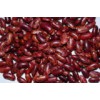 Purple Speckled Kidney Bean (TX09002)