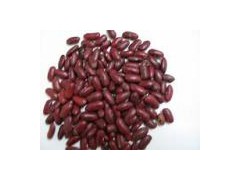 Dark Red Kidney Bean (DRB-090323)图1