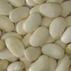 Large White Kidney Beans (QXB-001)
