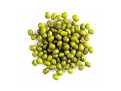 Green Bean图1