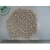 White Kidney Beans (Japanese Type)