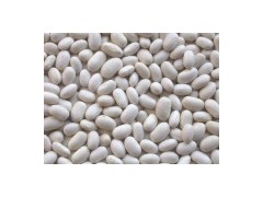 White Kidney Beans Japanese Type图1