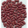 Dark Red Kidney Bean