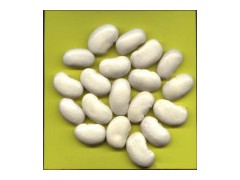 White Kidney Beans图1