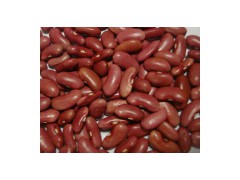 Light Red Kidney Beans图1