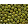 Mung Bean