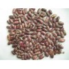 Purple Speckled Kidney Beans -3