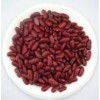 British Red Kidney Bean 1