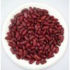 British Red Kidney Bean 1