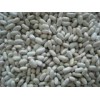 Baishake White Kidney Bean