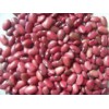 Small Red Kidney Bean