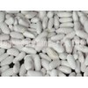 Lumbar White Kidney Beans