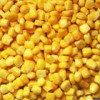 Sweet Corn