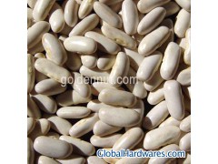 Flat white kidney beans图1