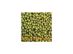 Green_Mung_Bean8图1