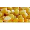 Frozen Sweet Corn Kernal 01