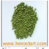 Sell_Chinese_Small_Green_Mung_Bean