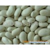 White Kidney Bean