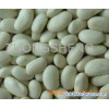 White kidney bean 01