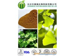 Ginkgo biloba extract , Ginkgo biloba P.E图1