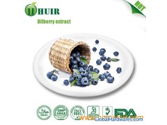 Natural plant extract, Bilberry Extract图1
