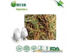 Huperzine A(Huperzia Serrata Extract)图1
