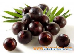 Acai berry Extract-Anthocyanin & Polyphenols图1